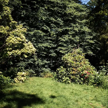 Du Vieux Chene - 6pers. - Jardin Arbore Ault